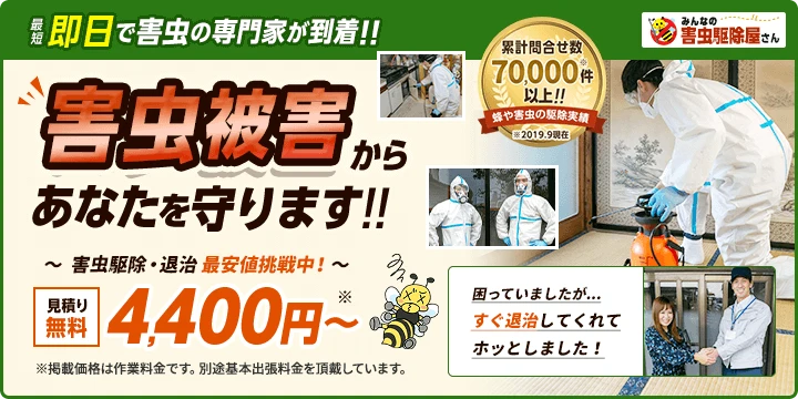 みんなの害虫駆除屋さん