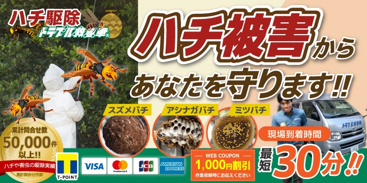 ハチ駆除トラブル救急車イメージ画像