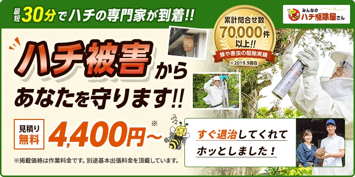 みんなのハチ駆除屋さんイメージ画像
