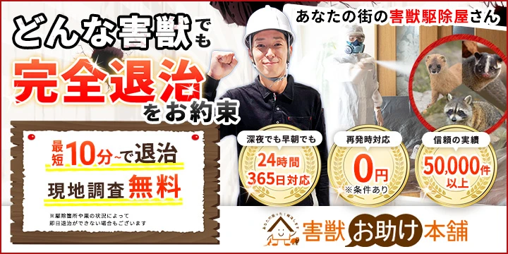 害獣お助け本舗イメージ画像