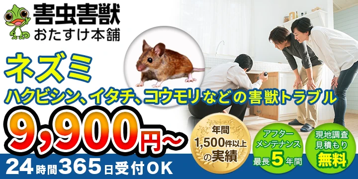 愛知県でねずみ駆除業者を比較 検索 愛知県でねずみ駆除業者を比較 検索