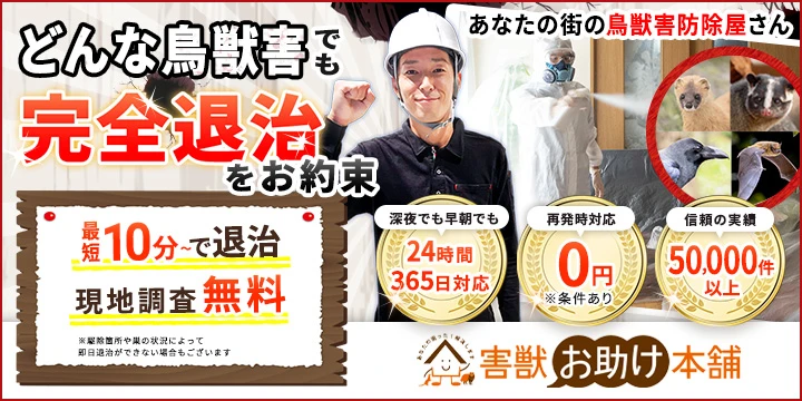 鳥獣害お助け本舗イメージ画像
