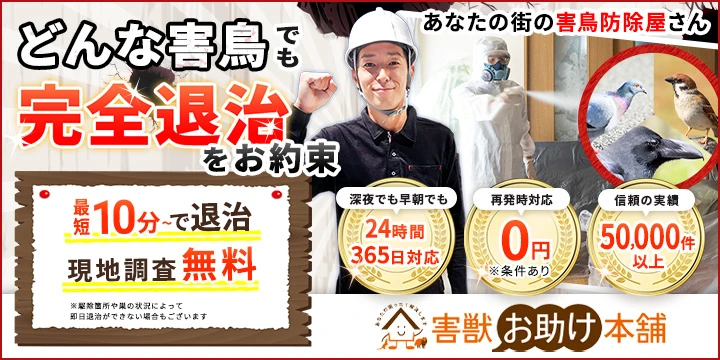 害鳥お助け本舗