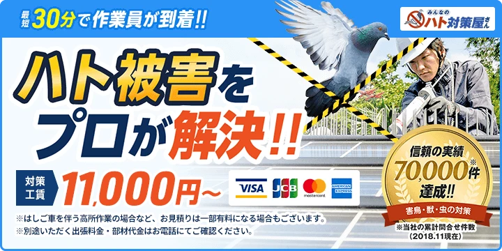 みんなのハト対策屋さん