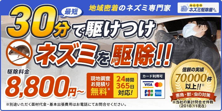 みんなのネズミ駆除屋さんイメージ画像