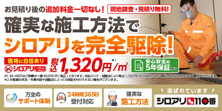 シロアリ110番イメージ画像