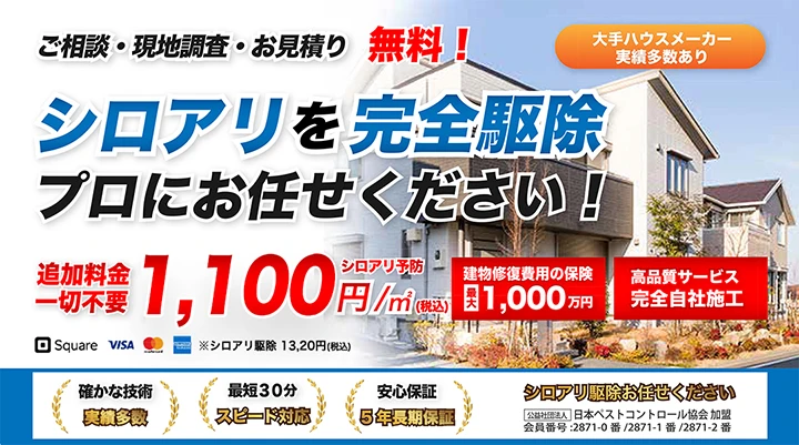 横浜市中区でシロアリ駆除業者を比較 検索 横浜市中区でシロアリ駆除業者を比較 検索
