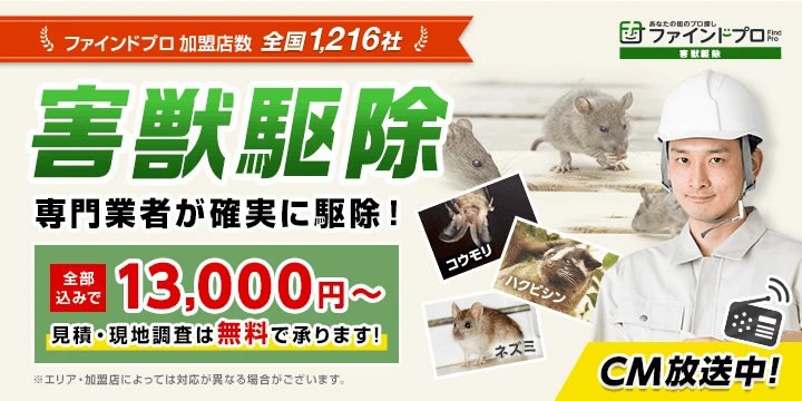 島根県でねずみ駆除業者を比較 検索