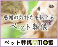 ペット葬儀110番のイメージ画像
