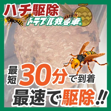 ハチ駆除トラブル救急車のイメージ画像