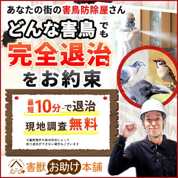 害鳥お助け本舗のイメージ画像