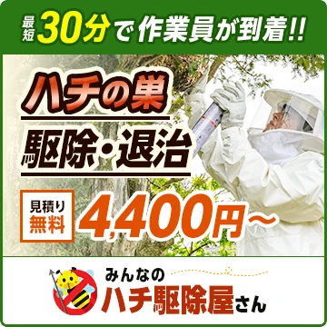 みんなのハチ駆除屋さんのイメージ画像