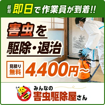みんなの害虫駆除屋さんのイメージ画像