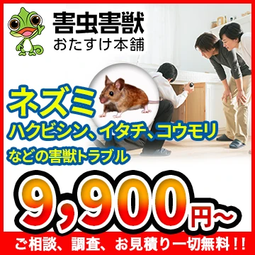 知多市でねずみ駆除業者を比較 検索 知多市でねずみ駆除業者を比較 検索