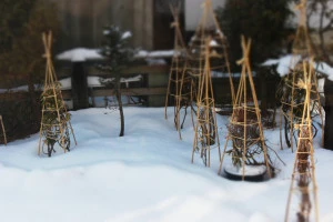 庭木の冬囲いは必須 具体的なやり方や業者の費用相場について Eparkくらしのレスキュー