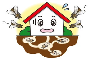 羽アリを駆除する方法とは おすすめグッズや業者の依頼費用を解説 Eparkくらしのレスキュー 羽アリを駆除する方法とは おすすめグッズや業者の依頼費用を解説 Eparkくらしのレスキュー