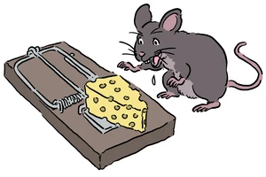 ネズミを簡単に駆除する方法とは 予防策や業者の選び方について解説します Eparkくらしのレスキュー ネズミを簡単に駆除する方法とは 予防策や業者の選び方について解説します Eparkくらしのレスキュー