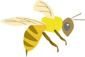 蚊取り線香は蜂にも効果あり 具体的な効果や蜂の追い払い方について解説します Eparkくらしのレスキュー