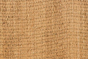 畳にカビが生えた 畳のカビの取り方や予防法などを解説します Eparkくらしのレスキュー