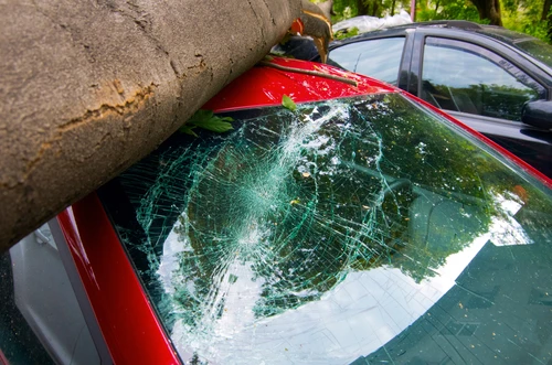 車のガラスの台風対策とは 具体的な方法や被害事例などを解説 Eparkくらしのレスキュー 車のガラスの台風対策とは 具体的な方法や被害事例などを解説 Eparkくらしのレスキュー