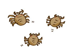 ダニと湿度は関係あるの ダニ予防に効果的な湿気対策について解説します Eparkくらしのレスキュー ダニと湿度は関係あるの ダニ予防に効果的な湿気対策について解説します Eparkくらしのレスキュー