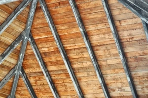 屋根裏に住み着く動物の駆除 害獣の種類や駆除する方法を解説 Eparkくらしのレスキュー