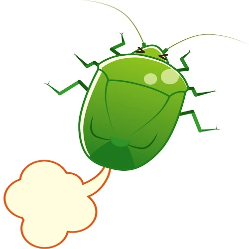 部屋にカメムシが 効果的な追い出し方や注意点などをご紹介します Eparkくらしのレスキュー 部屋にカメムシが 効果的な追い出し方や注意点などをご紹介します Eparkくらしのレスキュー