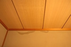雨漏りでシミになった天井の写真