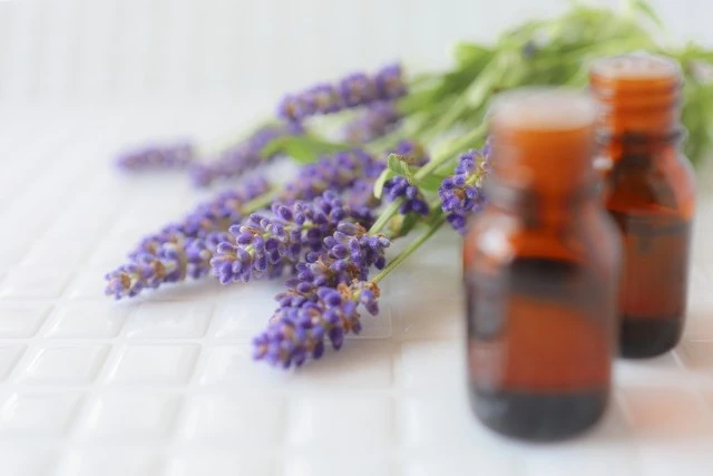 ゴキブリの嫌いなものとは ゴキブリの予防や対策に役立つ知識を解説 Eparkくらしのレスキュー ゴキブリの嫌いなものとは ゴキブリの予防や対策に役立つ知識を解説 Eparkくらしのレスキュー