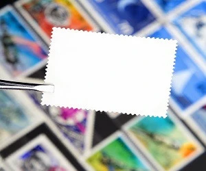 ピンセットで持った切手の裏面の写真