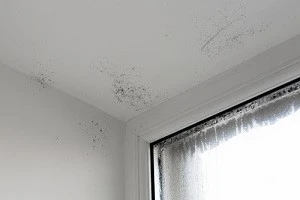 結露が付着した窓ガラスの写真