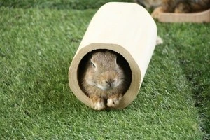 トンネルに入っているウサギの写真