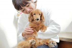 犬を抱きかかえる女性の写真