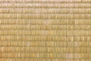 家具を置いたら畳がへこんだ 畳のへこみや跡の対処法 防止策を解説 Eparkくらしのレスキュー 家具を置いたら畳がへこんだ 畳のへこみや跡の対処法 防止策を解説 Eparkくらしのレスキュー