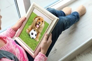 ペットの遺影を見ている写真
