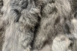 ラビットファーとは うさぎの毛皮の特徴や買取相場などを紹介します Eparkくらしのレスキュー ラビットファーとは うさぎの毛皮の特徴や買取相場などを紹介します Eparkくらしのレスキュー