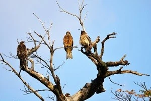 8jtu Scwyiuv3m 8jtu Scwyiuv3m