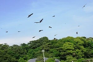 8jtu Scwyiuv3m 8jtu Scwyiuv3m