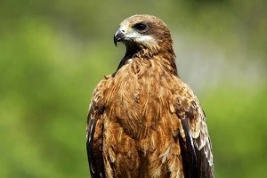 8jtu Scwyiuv3m 8jtu Scwyiuv3m