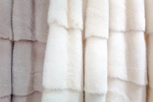 チンチラ毛皮の写真