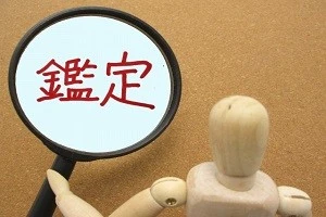 鑑定のイメージ写真