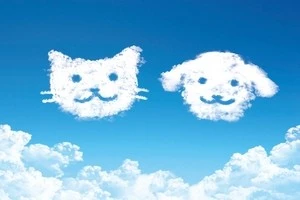 空に浮かぶ犬と猫の形をした雲の絵