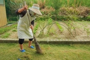 刈った芝を箒で掃いている写真