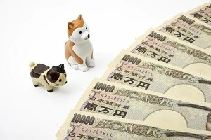ペット葬儀の費用相場のイメージ写真