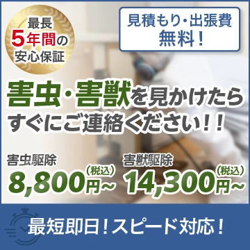 株式会社アビリティのイメージ画像