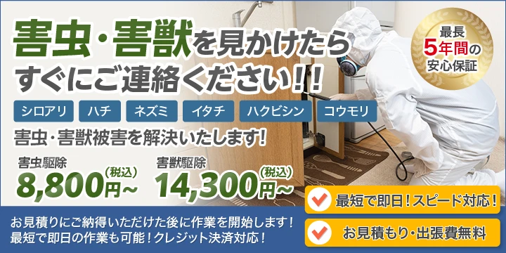 株式会社アビリティイメージ画像