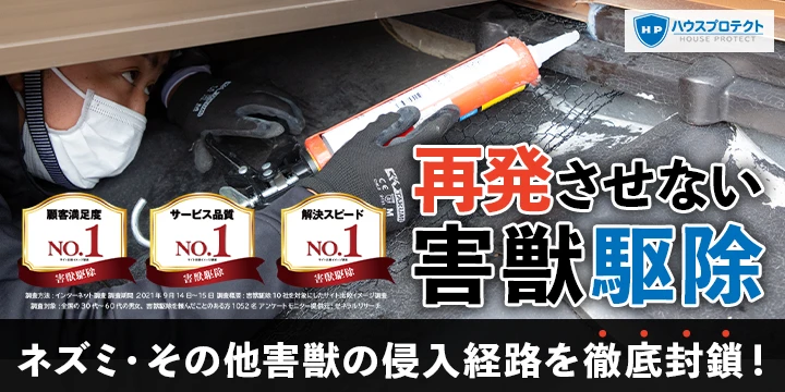 南島原市でねずみ駆除業者を比較 検索 南島原市でねずみ駆除業者を比較 検索